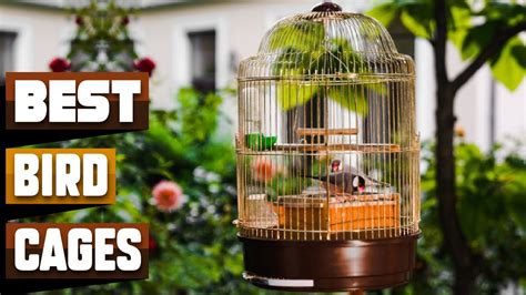 Best Bird Cage In 2024 Top 10 Bird Cages Review Youtube