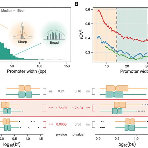 Genome Wide Comparison Of Transcriptional Burst Kinetics In Three Cases