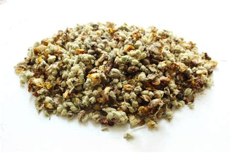 1 Lb Of Mullein Verbascum Flowers Dried High Quality Etsy