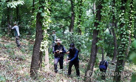 軍 후반기 6·25전사자 유해발굴 시작한다 블루투데이