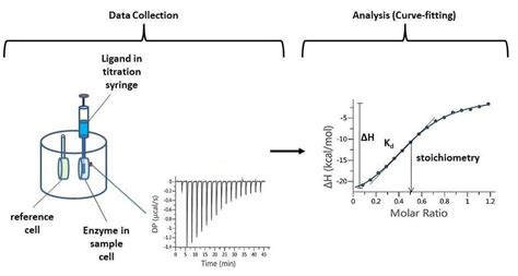 How Isothermal Titration Calorimetry Itc Measures