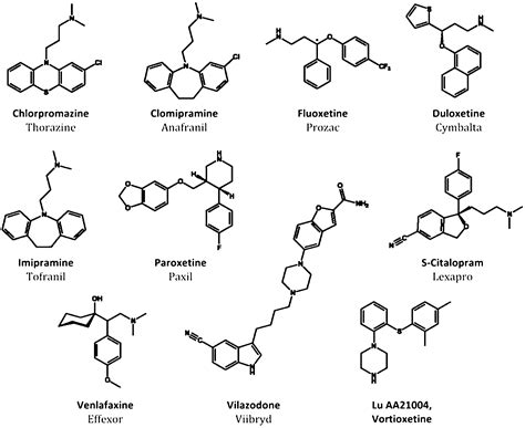 Future Directions For Serotonin And Antidepressants Acs Chemical