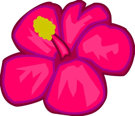 Hawaiian Flowers Png Images 100