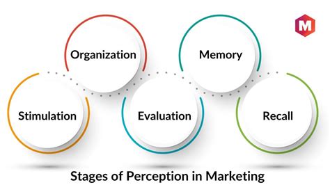 Perception In Marketing Meaning Stages And Examples Marketing