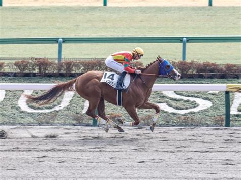 【メイクデビュー東京5rレース後コメント】ジオッコピアノ Tバシュロ騎手ら 競馬ニュース Netkeiba