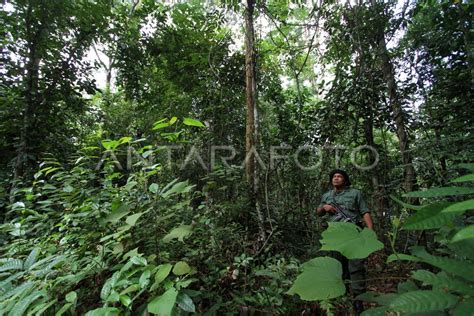 PATROLI TAMAN NASIONAL WAY KAMBAS ANTARA Foto