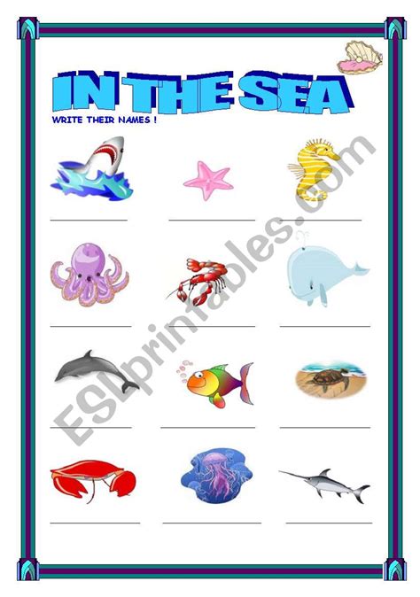 Sea Animals Esl Worksheet By Ipek83