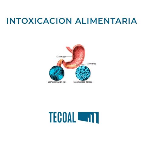 Intoxicación Alimentaria Causas síntomas y medidas preventivas