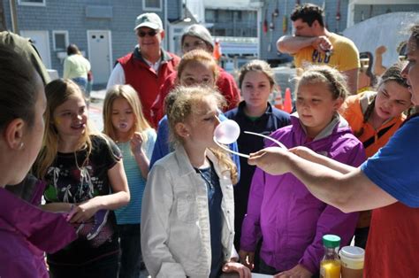 Bubblegum blowing contest results | Boothbay Register