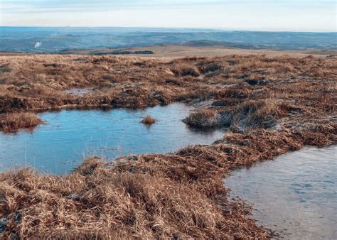 understanding peat water    deal