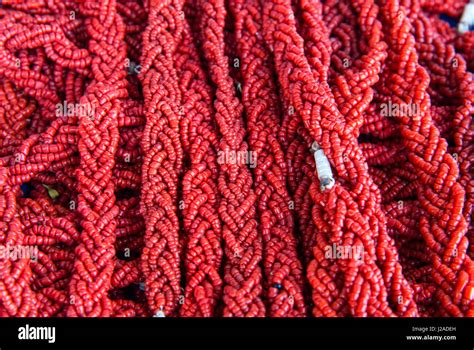 coral necklaces tabarka tunisia north africa stock photo alamy