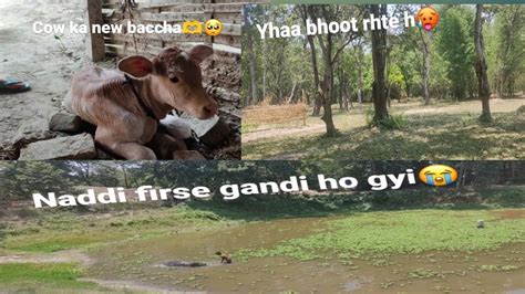 Bihar Ki Shaddi Dekhne Se Phele Ye Kya Ho Raha Hai Bihar Ki Shaddi Pt