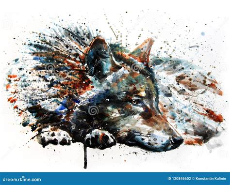 Wolf Predator Watercolor Painting Drawing Stock Illustration