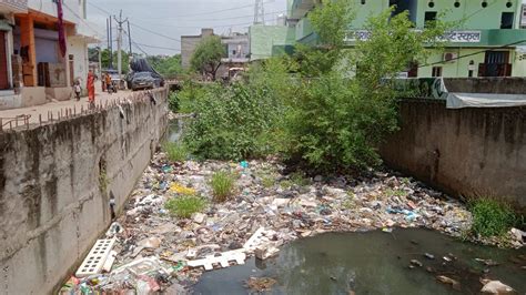 Trees Grew Due To Non Cleaning Of Drains Pile Of Garbage People Upset Due To Waterlogging