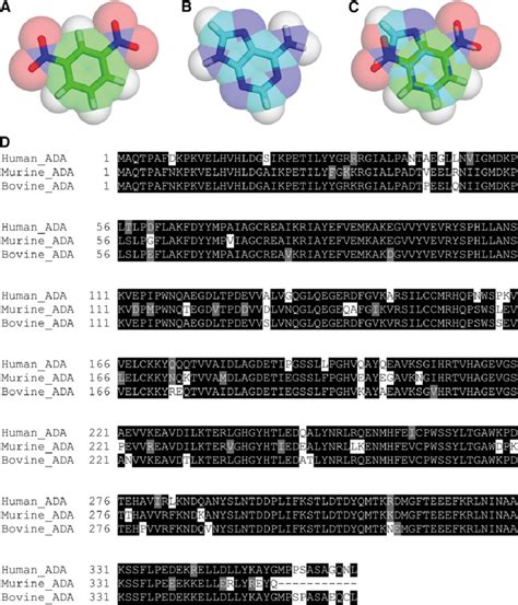 Structural And Sequence Alignments Of 1 3 DNB And ADA A C Models