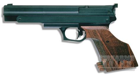 Gamo Compact Target