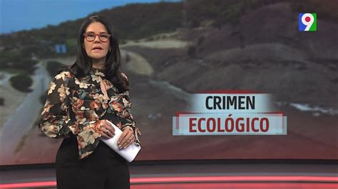 Crimen Ecol Gico El Informe Con Alicia Ortega Youtube