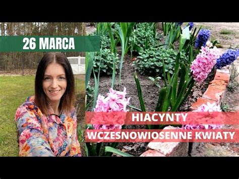 Marzec W Ogrodzie Hiacynty Wczesnowiosenne Kwiaty Cebulowe