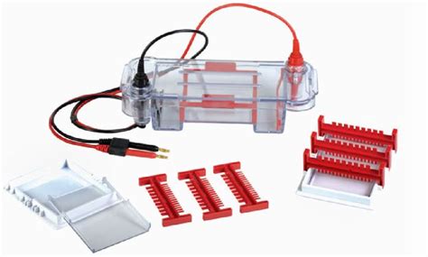 Mini Gel Box (Mini Size Horizontal Gel Box for DNA RNA Electrophoresis) - BIOTANG Inc.