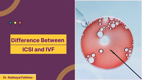 Difference Between Icsi And Ivf You Should Know