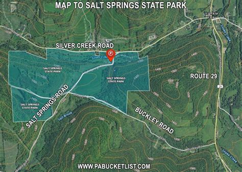 Salt Springs Resort Map