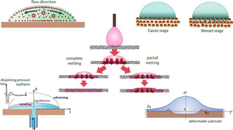 Substrate Managing Nutrient Composition For Optimal Nutrition Insect