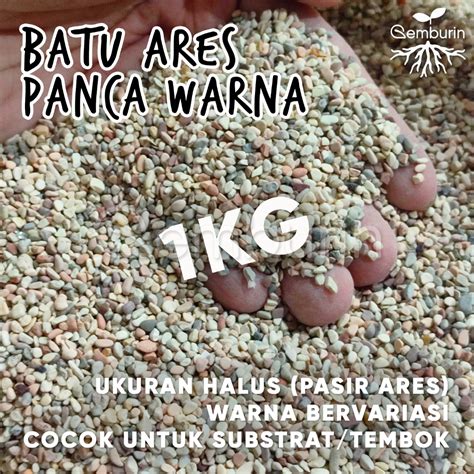 Jual Batu Ares Panca Warna Kg Halus Pasir Koral Hias Multicolour