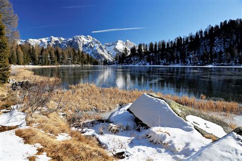 Le Camminate Pi Interessanti Nei Dintorni Di Borgo Val Di Sole