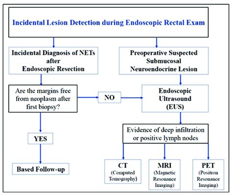 Scheme 1 Proposed Algorithm Of Diagnostic Assessment Of Rectal NETs