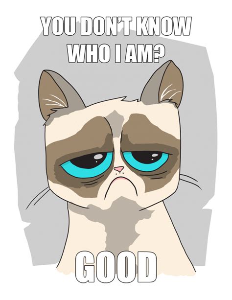 my contribution to the grumpy cat meme | gorirrajoe