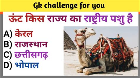 ऊंट किस राज्य का राष्ट्रीय पशु Gk Question Gk In Hindi Gk