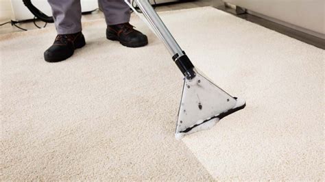 Liability Issues Associated With Dirty Carpets