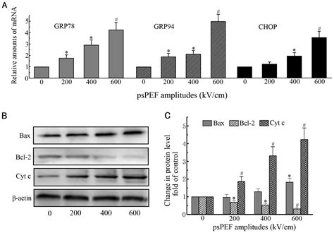 Picosecond Pulsed Electric Fields Induce Apoptosis In Hela Cells Via