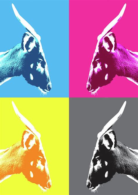 Antelope X 4 Digital Art By Gary Hogben Fine Art America