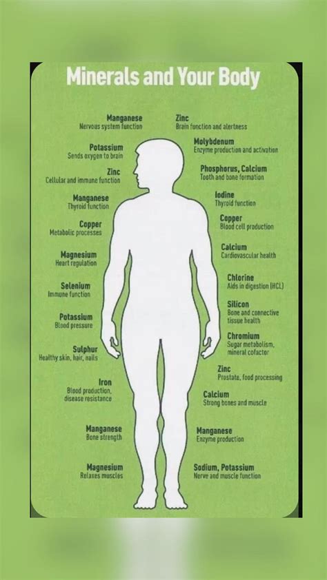 Do You Know Minerals Required By The Body And Their Functions Food