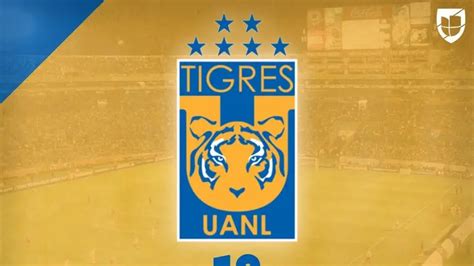 Tigres Ha Ganado 13 Títulos Oficiales Entre Liga Copa Y Campeón De