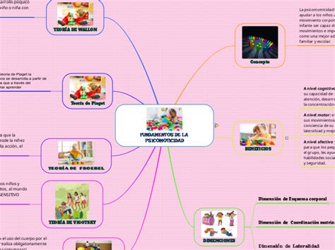 FUNDAMENTOS DE LA PSICOMOTICIDAD Adimen Mapa