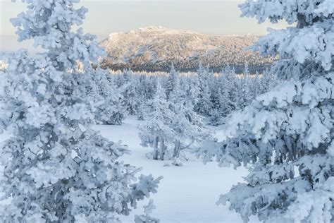 #474466 nature, cold, winter, Russia, snow, trees - Rare Gallery HD Wallpapers