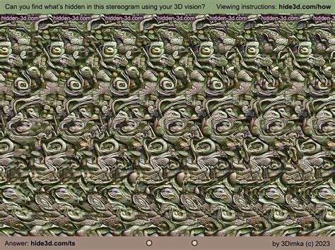 Pin By Julio César Puma Frisancho On Estereogramas Y 3d Magic Eye Pictures Optical Illusions