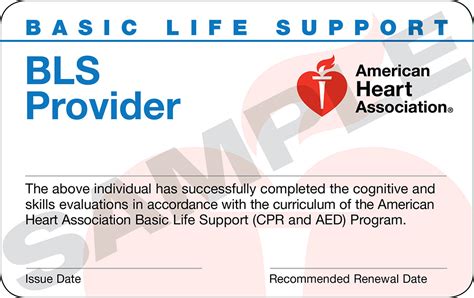 Basic Life Support (BLS) Provider (CPR) – Trio Safety CPR+AED Solutions