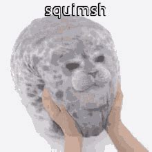 Seal Funny Seals GIF - Seal Funny Seals Seal - Discover & Share GIFs