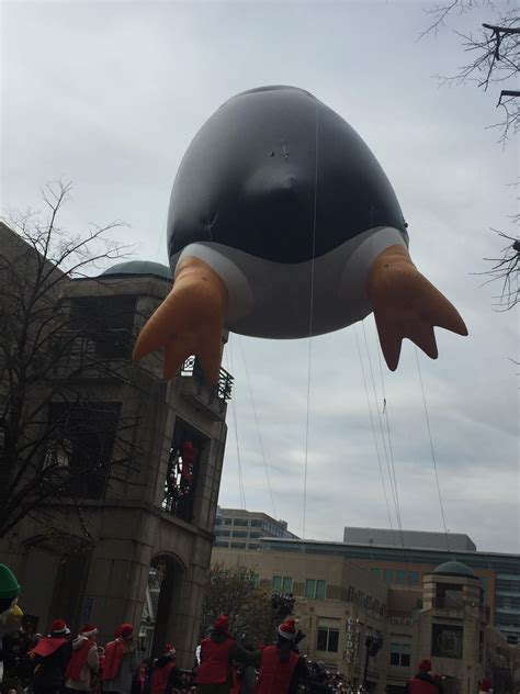 Kowalski Anal R Kowalski Memes