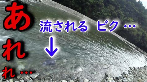 早戸川で、まさかや～！ 気が付いた時には、それは有りませんでした。偶然撮影していた胸のカメラが、その一部始終を撮影していました。 Youtube