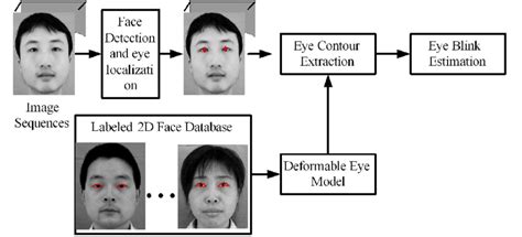 Eye Blink Detection Algorithm Overview Download Scientific Diagram