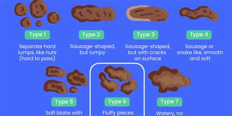 Mucus In Stool Human