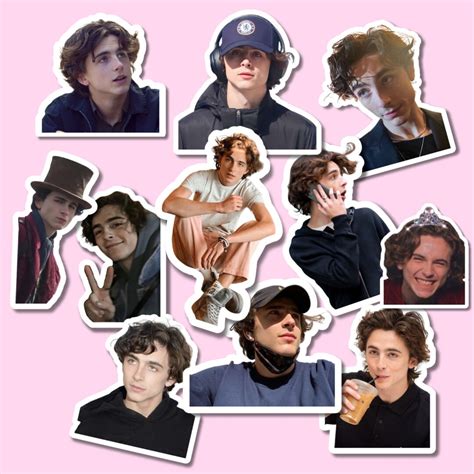 Timothée Chalamet Stickers Waterproof Stickers Etsy