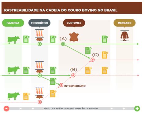 Boi gordo Entenda o mercado cadeia produtiva e formação de preços