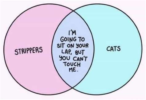 21 Funny Venn Diagrams That Couldn't Be More Right