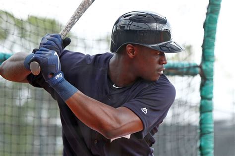 Tigers call up outfield prospect Daz Cameron - mlive.com