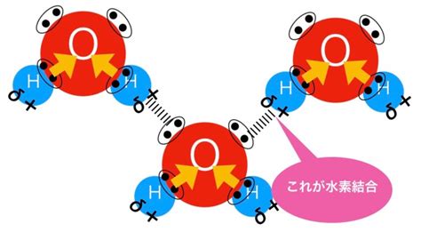 水素結合とは？わかりやすく具体例で解説！記述問題頻出ポイントも！ 化学受験テクニック塾